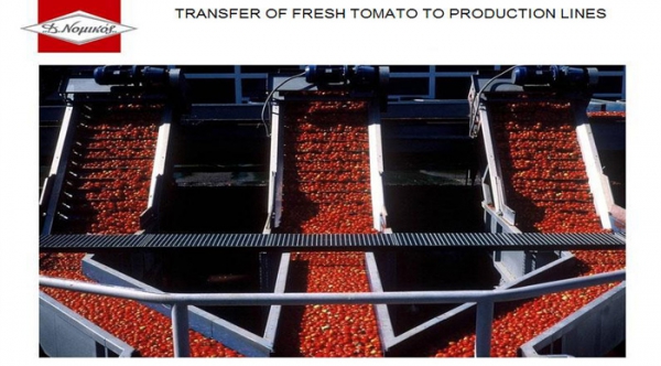Modernization of a Manufactured Tomato Elaboration Company